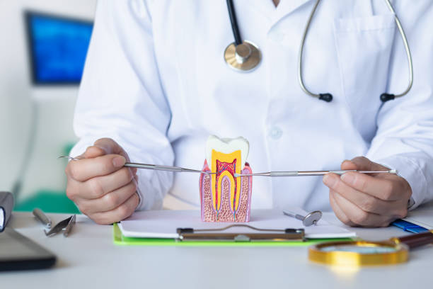 Best After-Hours Emergency Dentist in Jesup, IA